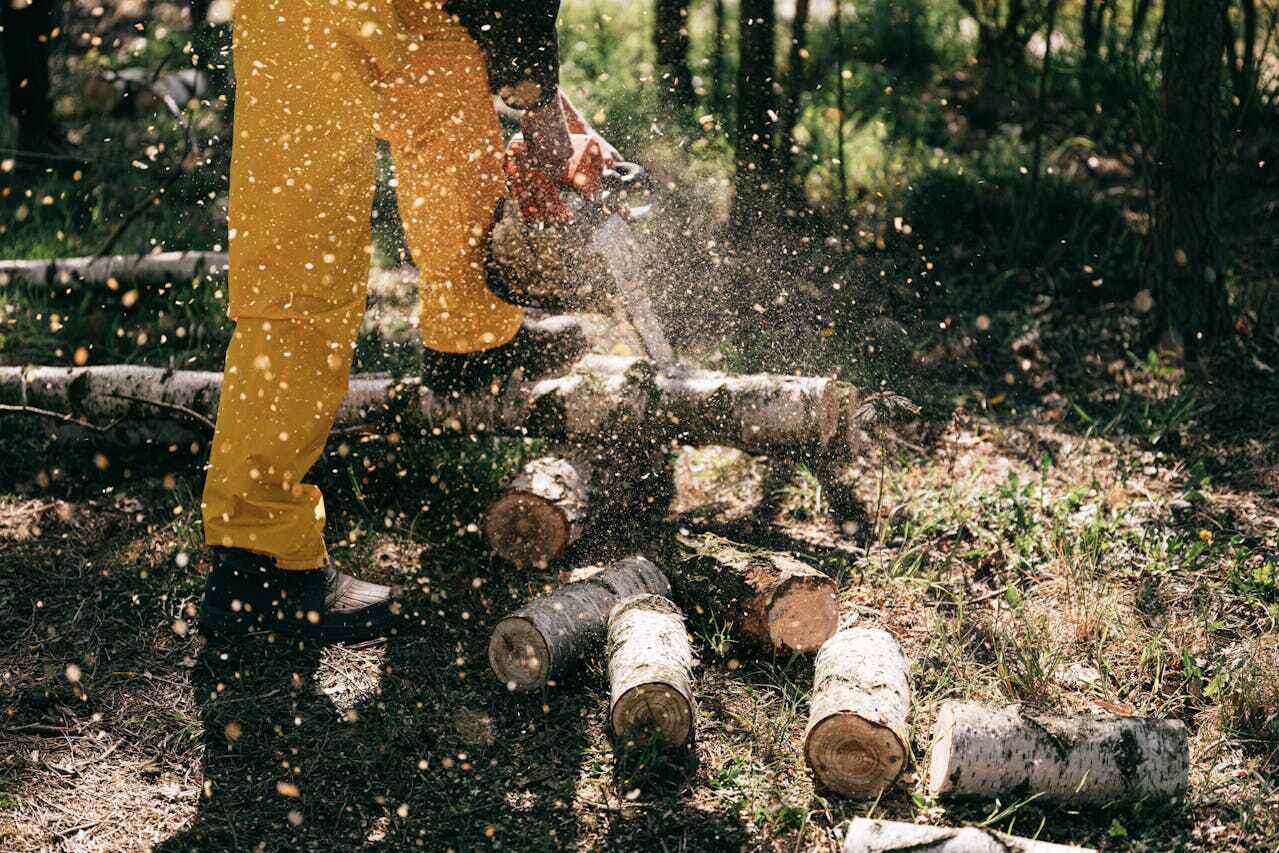 Large Tree Removal in Conyers, GA